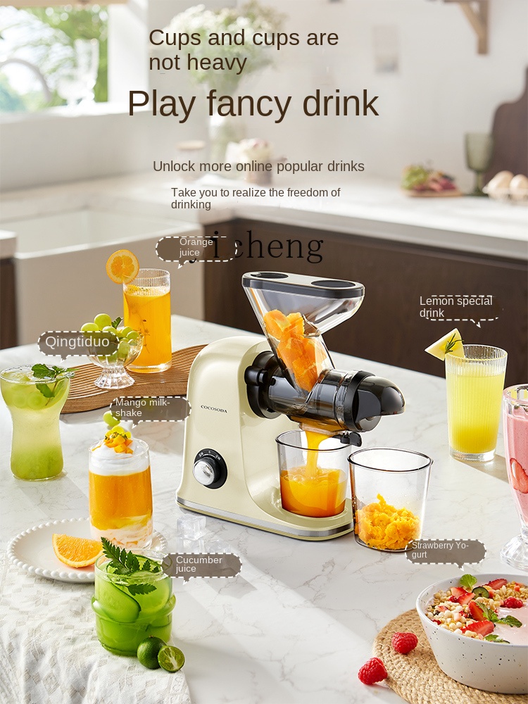 cc28 Low Speed Juicer Juicer S - Juicer recension och pris